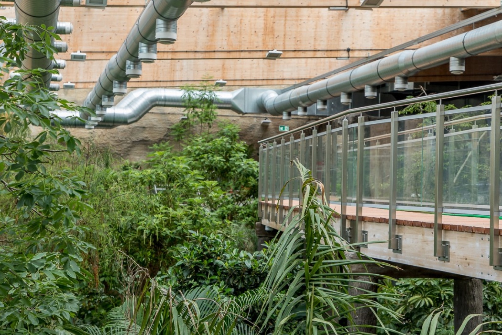 Zdjęcie w galerii na portalu naszwodzislaw.com: Powiew egzotyki w Śląskim Ogrodzie Zoologicznym wiadomości z regionu