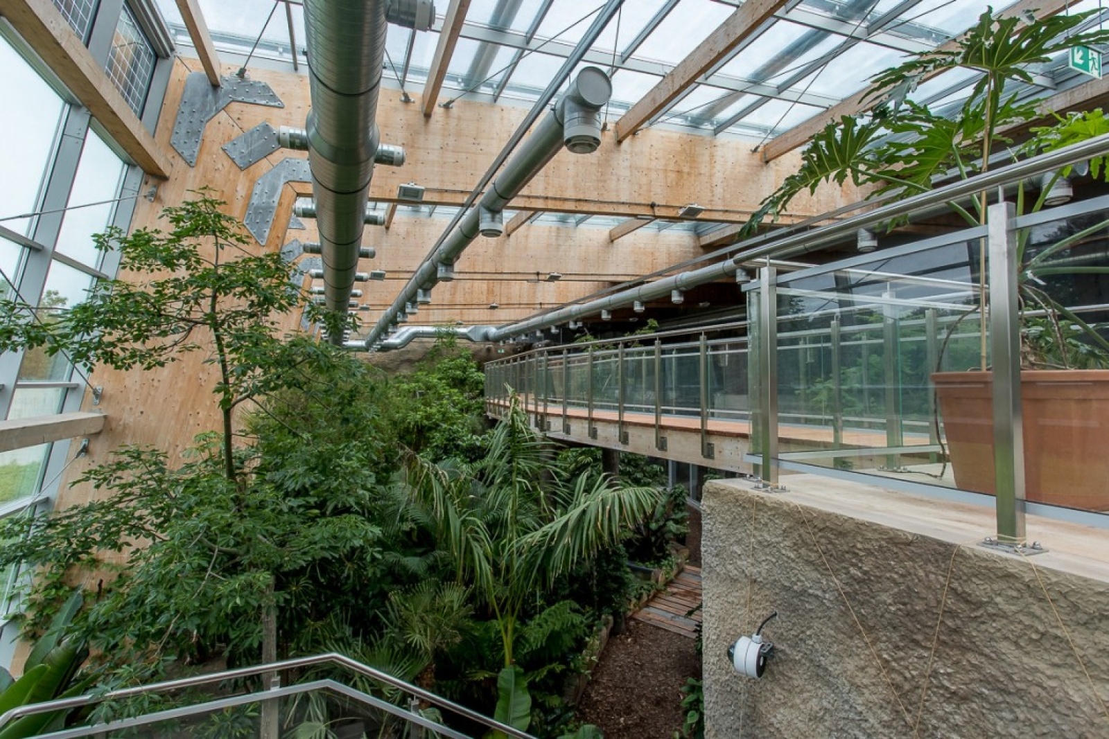 Zdjęcie w galerii na portalu naszwodzislaw.com: Powiew egzotyki w Śląskim Ogrodzie Zoologicznym wiadomości z regionu