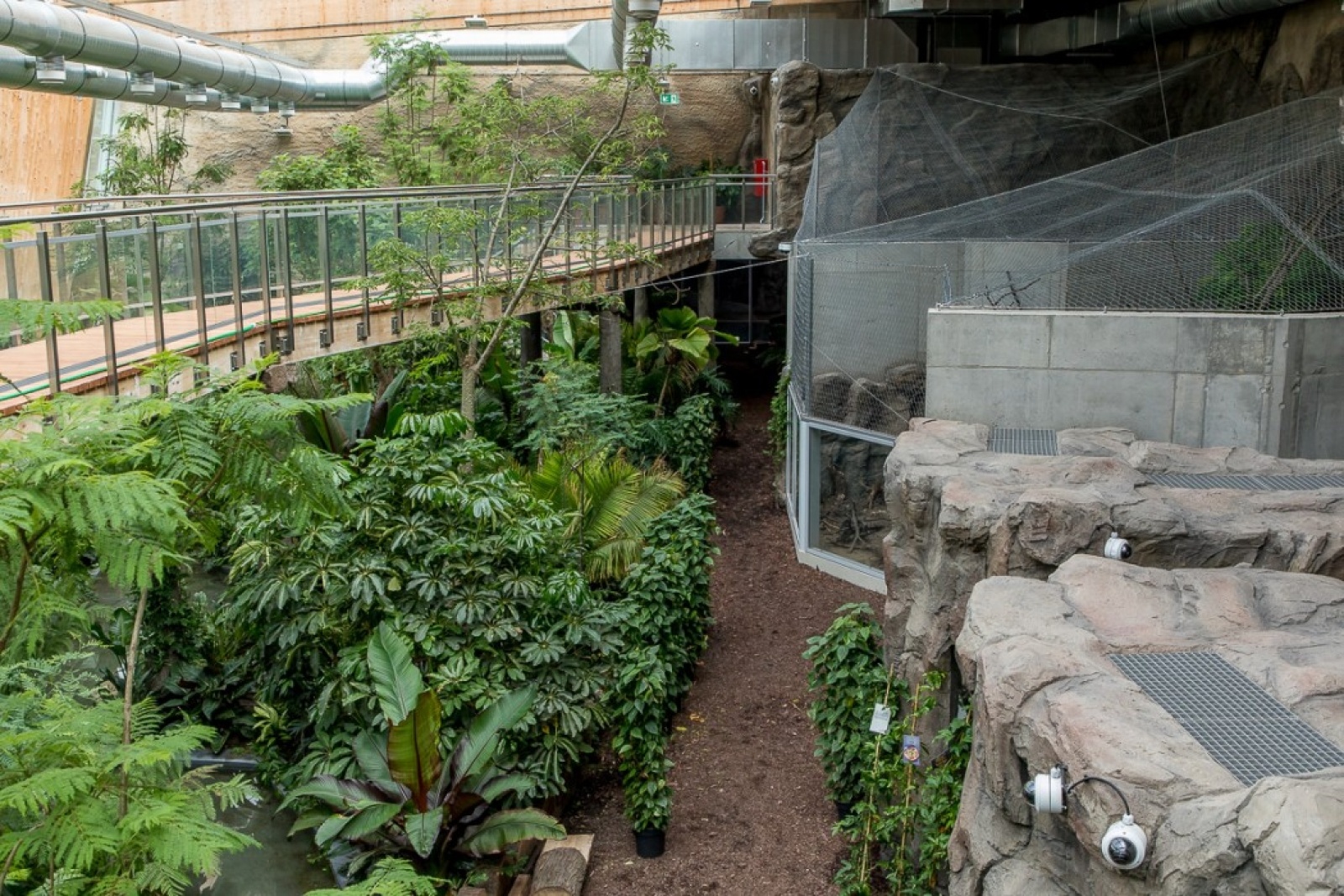 Zdjęcie w galerii na portalu naszwodzislaw.com: Powiew egzotyki w Śląskim Ogrodzie Zoologicznym wiadomości z regionu