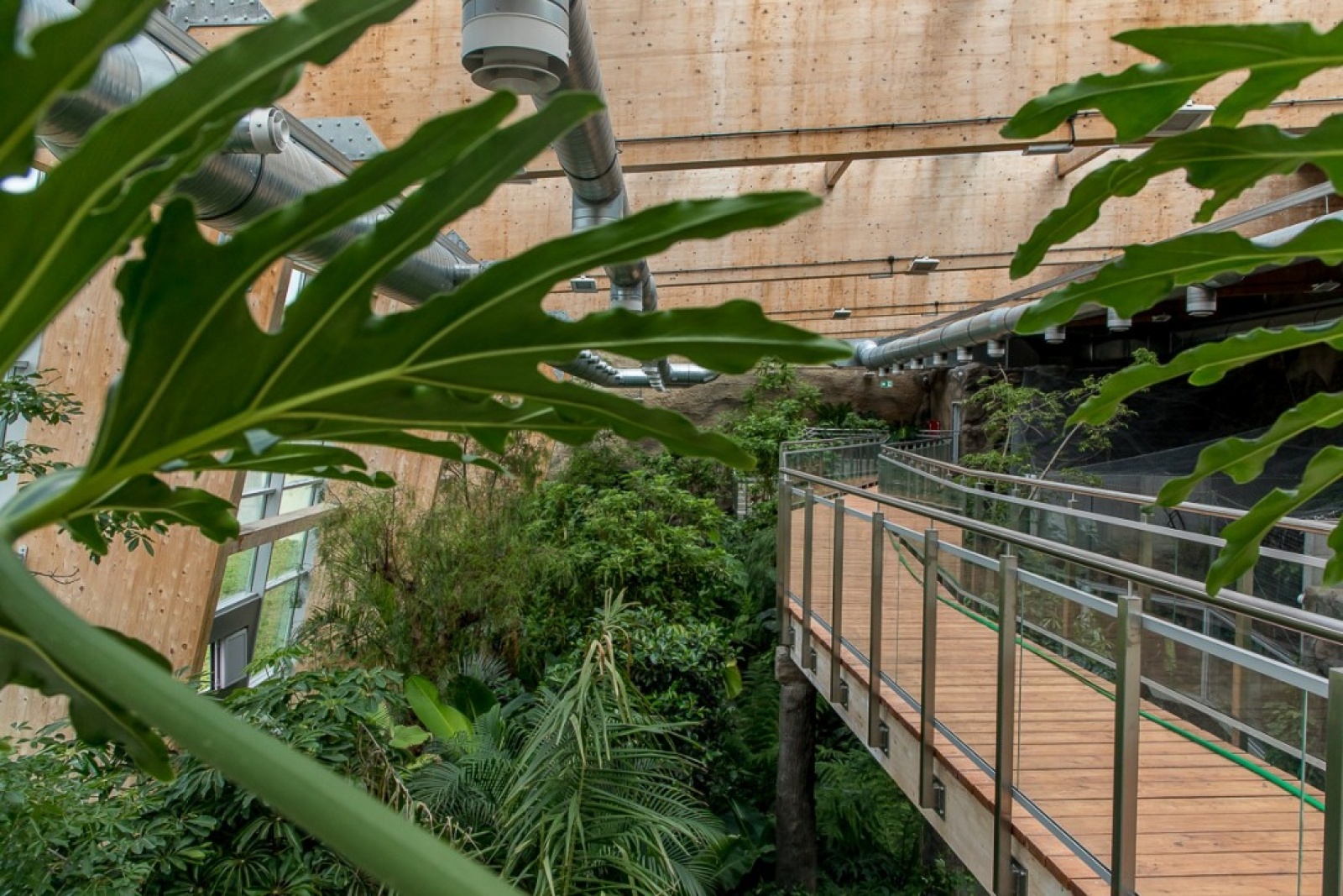 Zdjęcie w galerii na portalu naszwodzislaw.com: Powiew egzotyki w Śląskim Ogrodzie Zoologicznym wiadomości z regionu