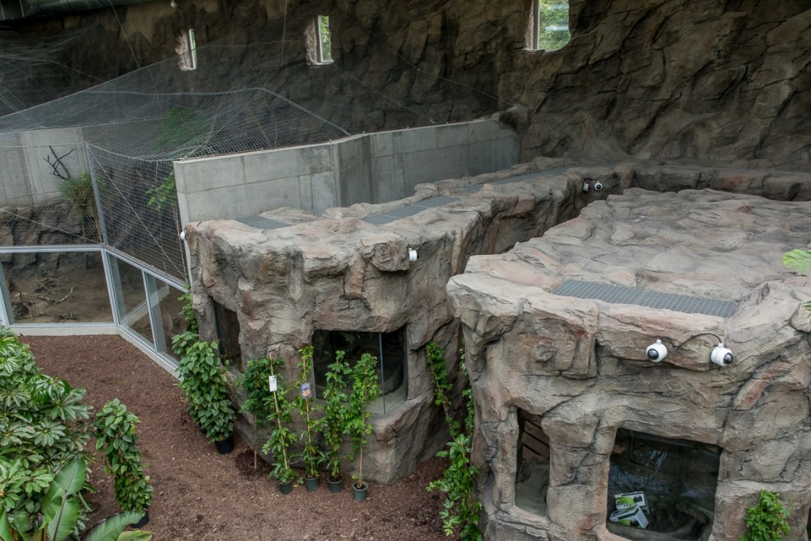 Zdjęcie w galerii na portalu naszwodzislaw.com: Powiew egzotyki w Śląskim Ogrodzie Zoologicznym wiadomości z regionu