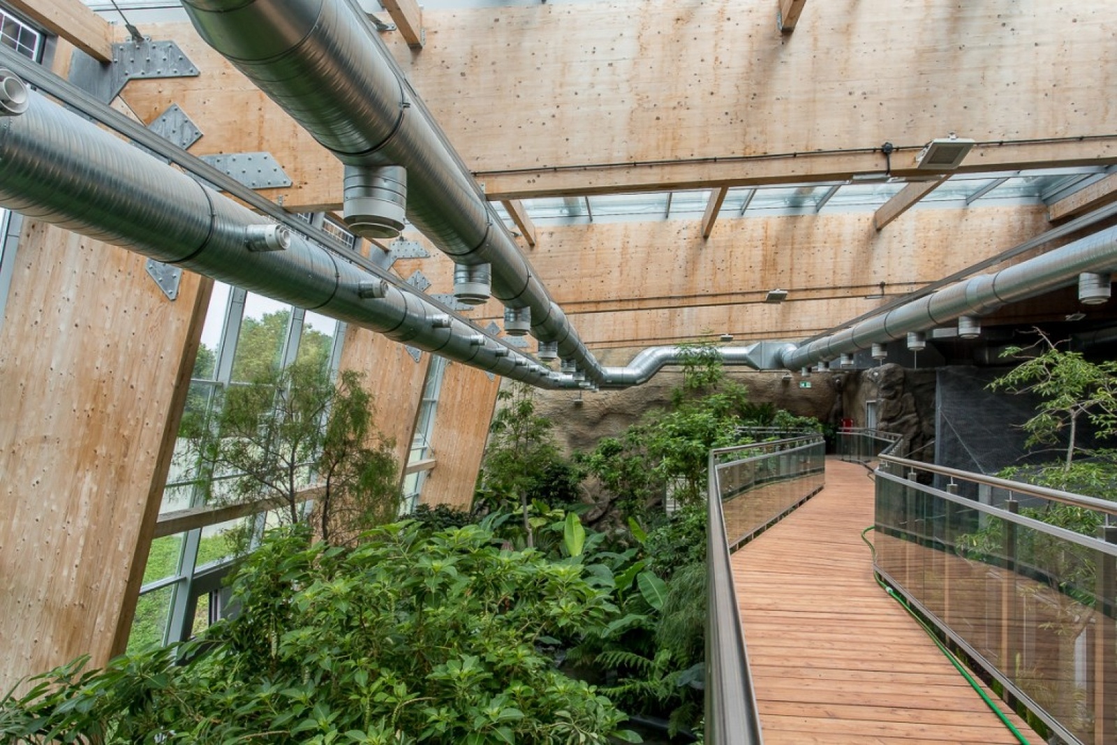 Zdjęcie w galerii na portalu naszwodzislaw.com: Powiew egzotyki w Śląskim Ogrodzie Zoologicznym wiadomości z regionu