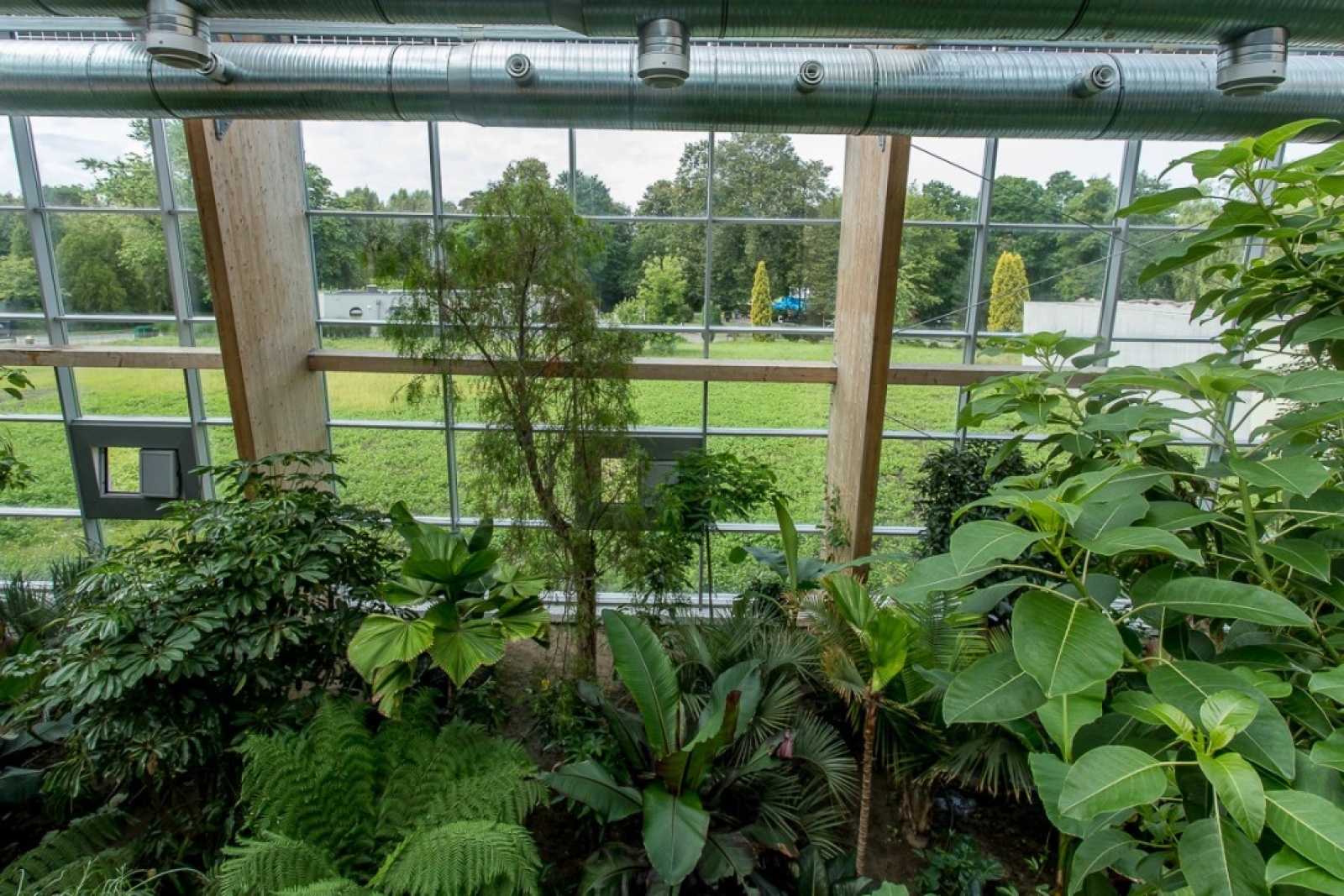 Zdjęcie w galerii na portalu naszwodzislaw.com: Powiew egzotyki w Śląskim Ogrodzie Zoologicznym wiadomości z regionu