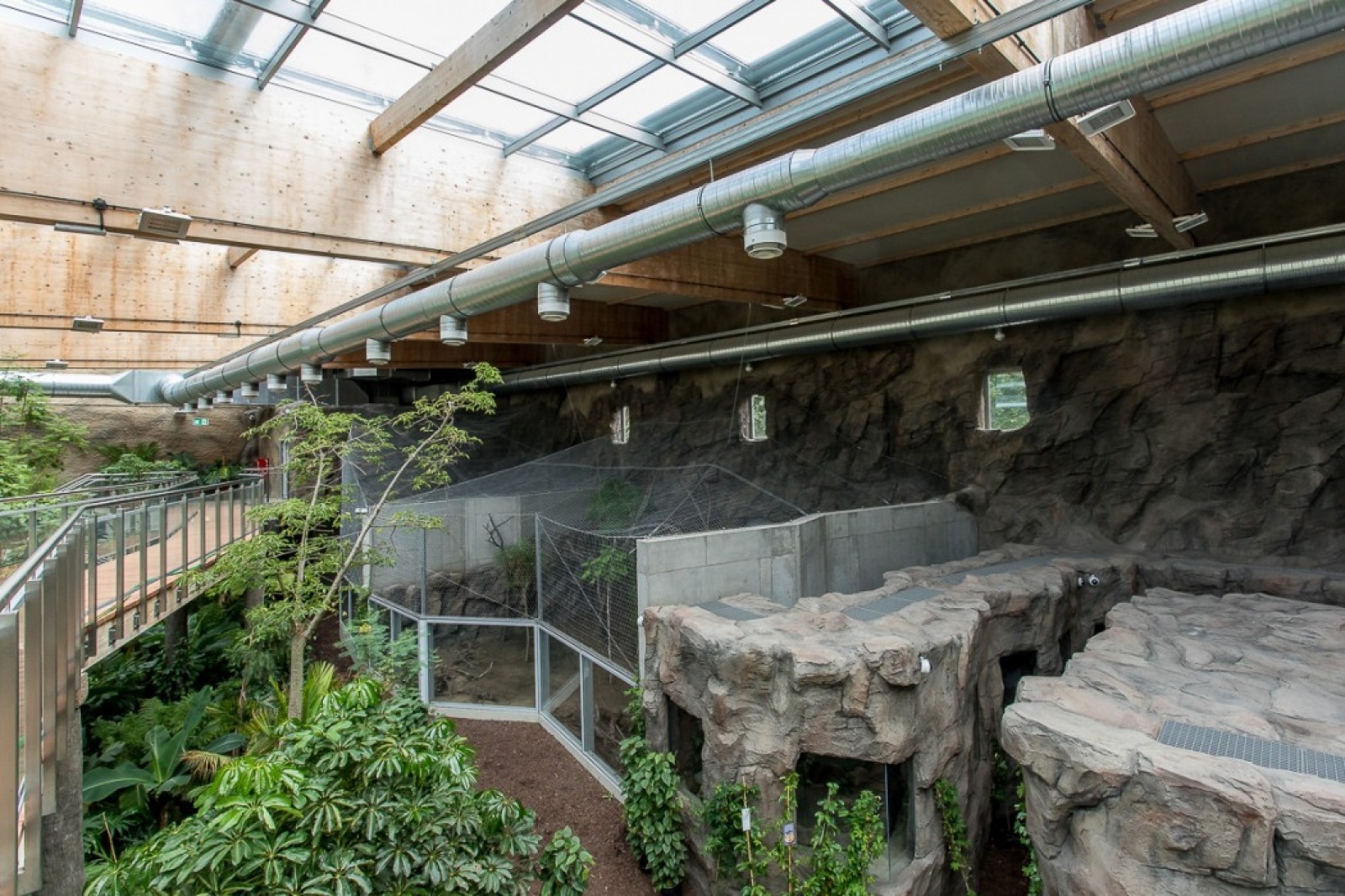 Zdjęcie w galerii na portalu naszwodzislaw.com: Powiew egzotyki w Śląskim Ogrodzie Zoologicznym wiadomości z regionu