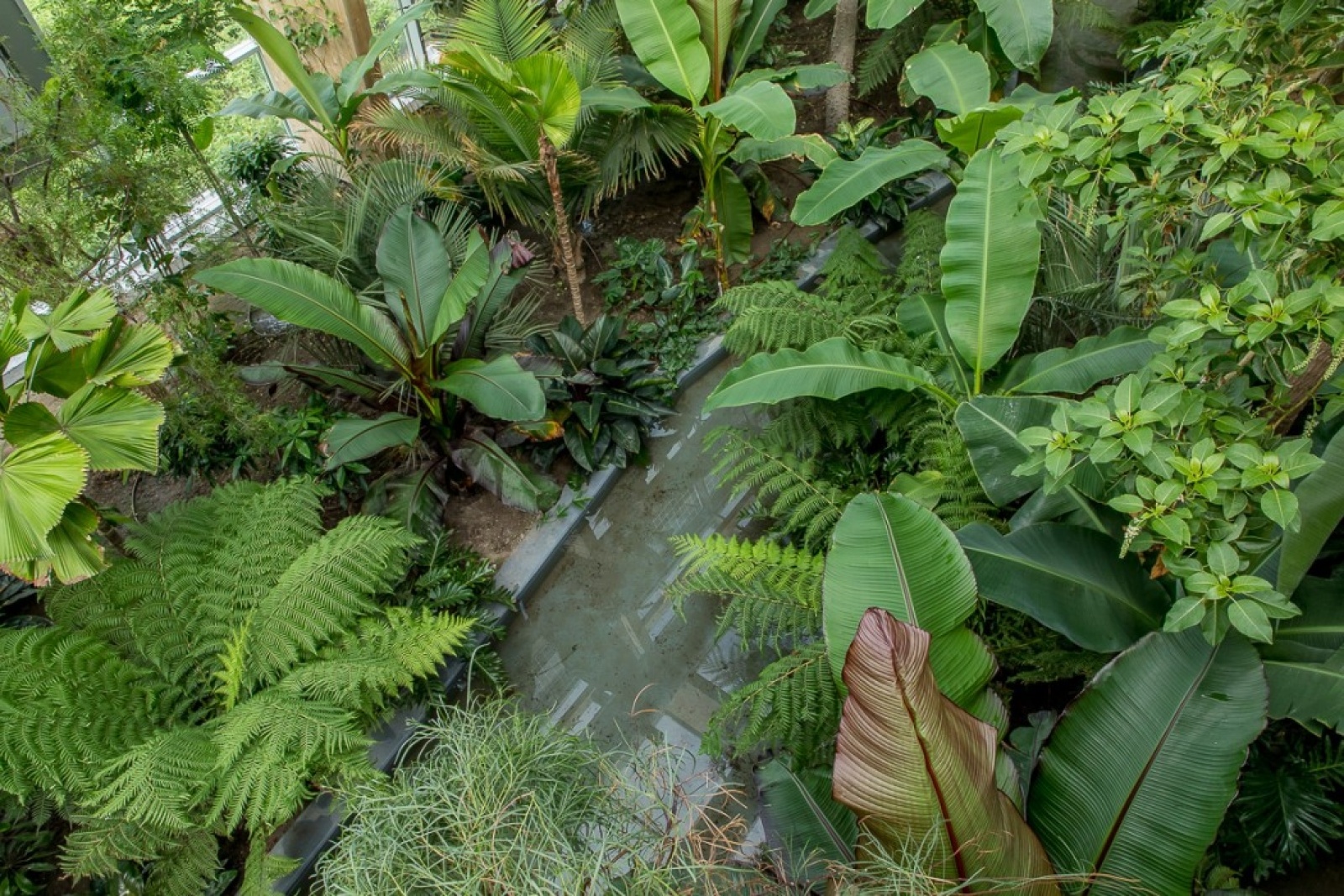 Zdjęcie w galerii na portalu naszwodzislaw.com: Powiew egzotyki w Śląskim Ogrodzie Zoologicznym wiadomości z regionu