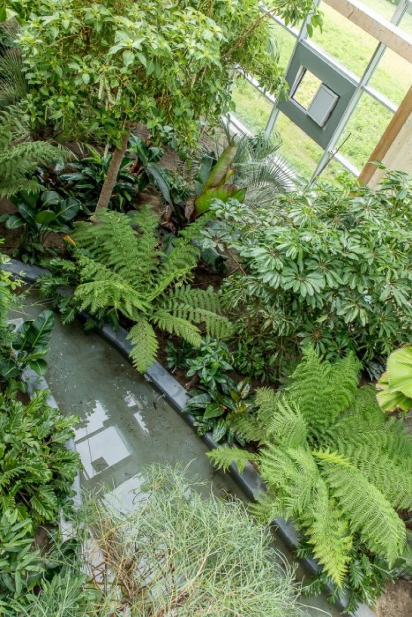 Zdjęcie w galerii na portalu naszwodzislaw.com: Powiew egzotyki w Śląskim Ogrodzie Zoologicznym wiadomości z regionu