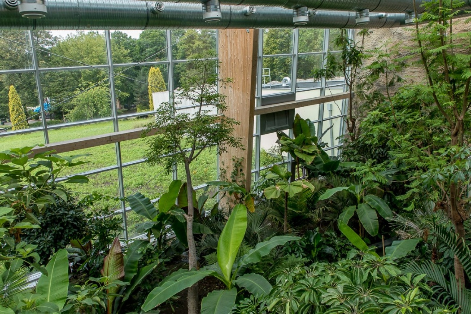 Zdjęcie w galerii na portalu naszwodzislaw.com: Powiew egzotyki w Śląskim Ogrodzie Zoologicznym wiadomości z regionu