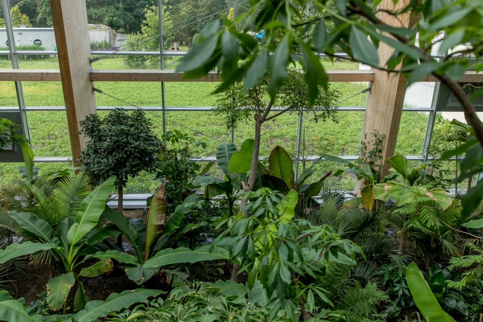 Zdjęcie w galerii na portalu naszwodzislaw.com: Powiew egzotyki w Śląskim Ogrodzie Zoologicznym wiadomości z regionu