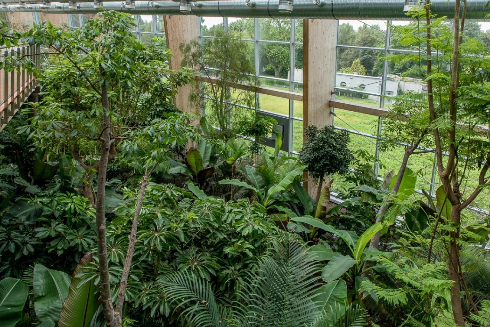 Zdjęcie w galerii na portalu naszwodzislaw.com: Powiew egzotyki w Śląskim Ogrodzie Zoologicznym wiadomości z regionu