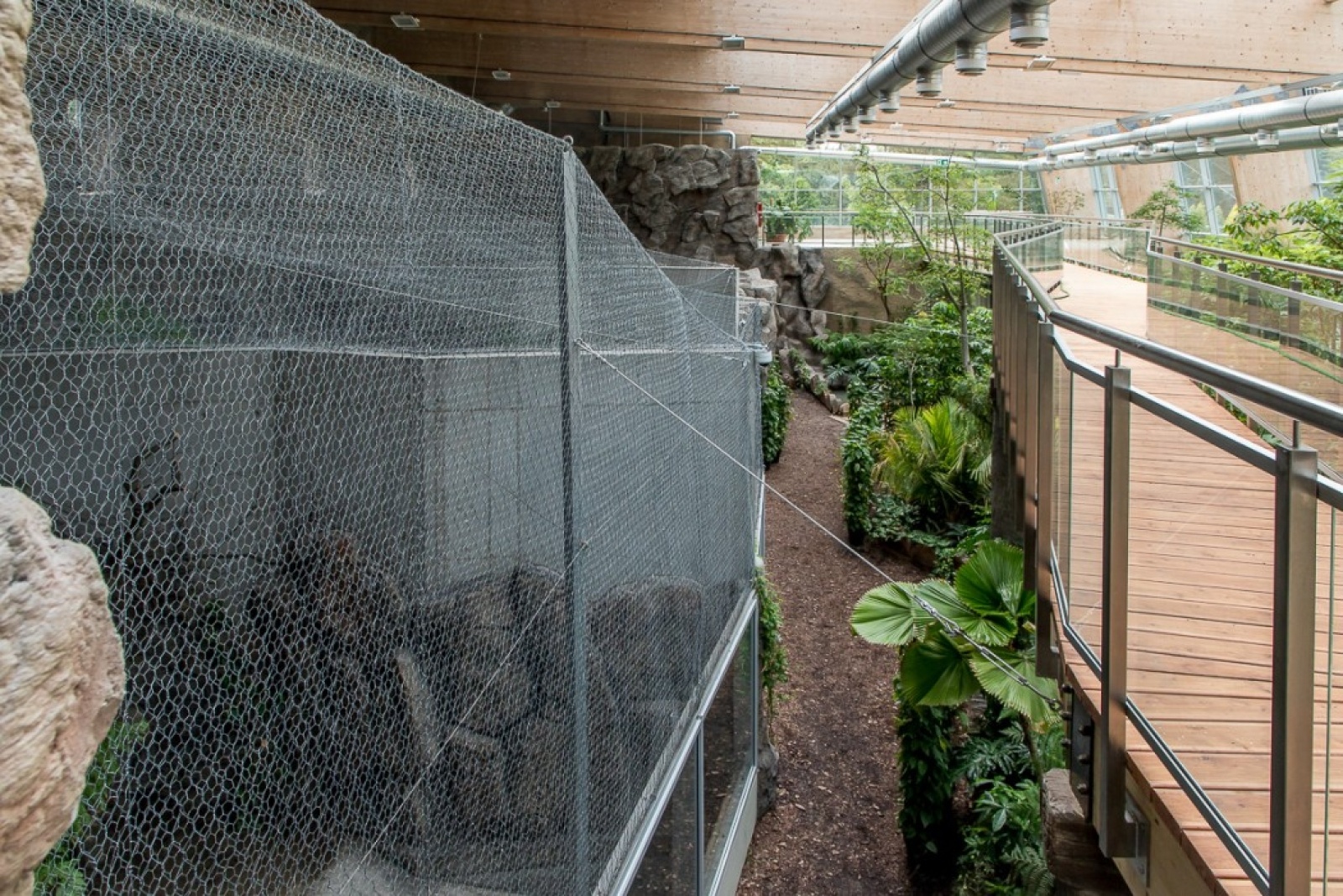 Zdjęcie w galerii na portalu naszwodzislaw.com: Powiew egzotyki w Śląskim Ogrodzie Zoologicznym wiadomości z regionu