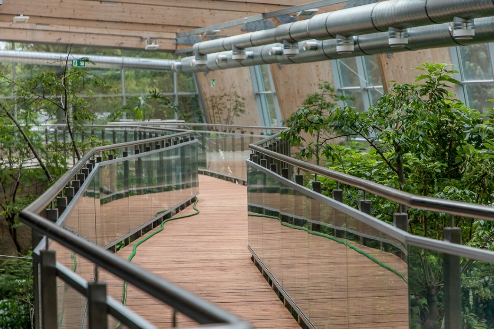 Zdjęcie w galerii na portalu naszwodzislaw.com: Powiew egzotyki w Śląskim Ogrodzie Zoologicznym wiadomości z regionu