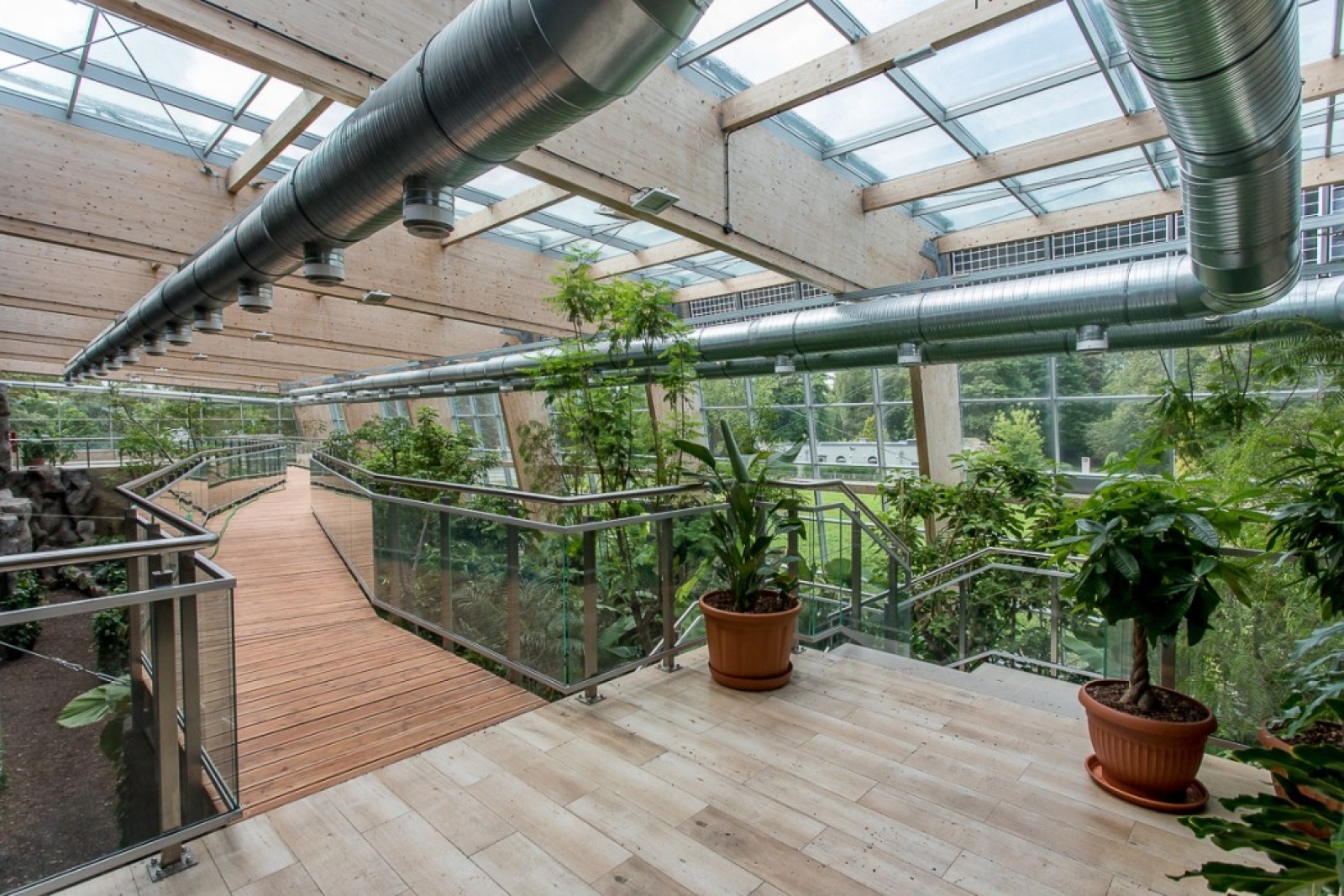 Zdjęcie w galerii na portalu naszwodzislaw.com: Powiew egzotyki w Śląskim Ogrodzie Zoologicznym wiadomości z regionu