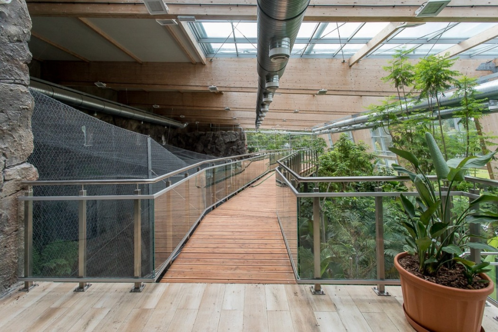 Zdjęcie w galerii na portalu naszwodzislaw.com: Powiew egzotyki w Śląskim Ogrodzie Zoologicznym wiadomości z regionu