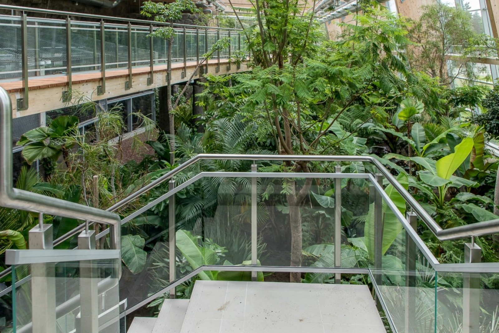 Zdjęcie w galerii na portalu naszwodzislaw.com: Powiew egzotyki w Śląskim Ogrodzie Zoologicznym wiadomości z regionu