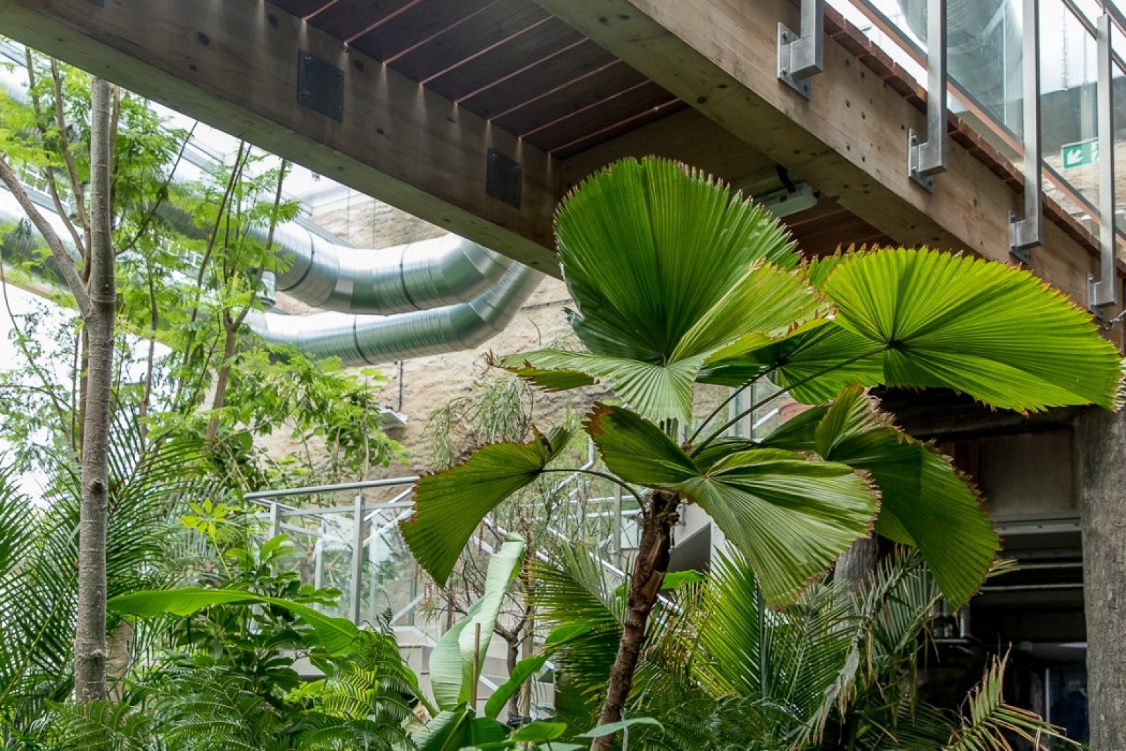 Zdjęcie w galerii na portalu naszwodzislaw.com: Powiew egzotyki w Śląskim Ogrodzie Zoologicznym wiadomości z regionu