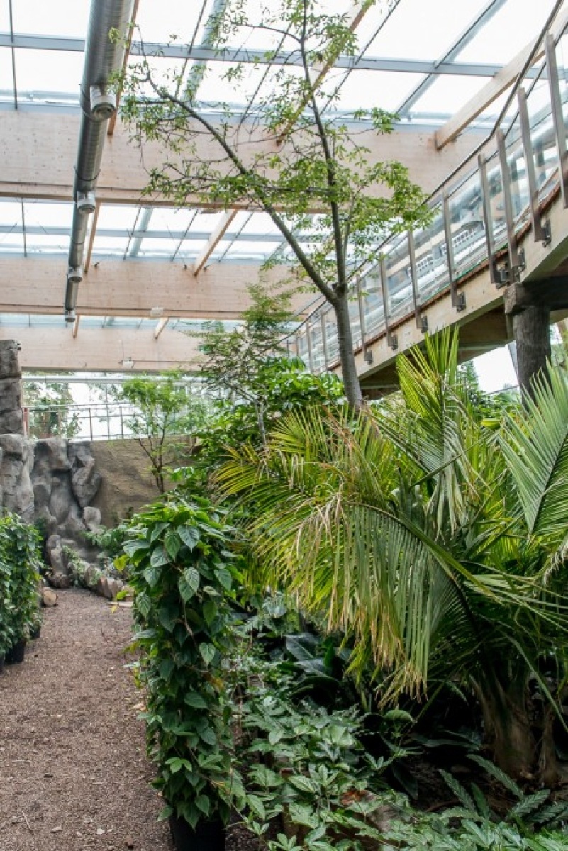 Zdjęcie w galerii na portalu naszwodzislaw.com: Powiew egzotyki w Śląskim Ogrodzie Zoologicznym wiadomości z regionu