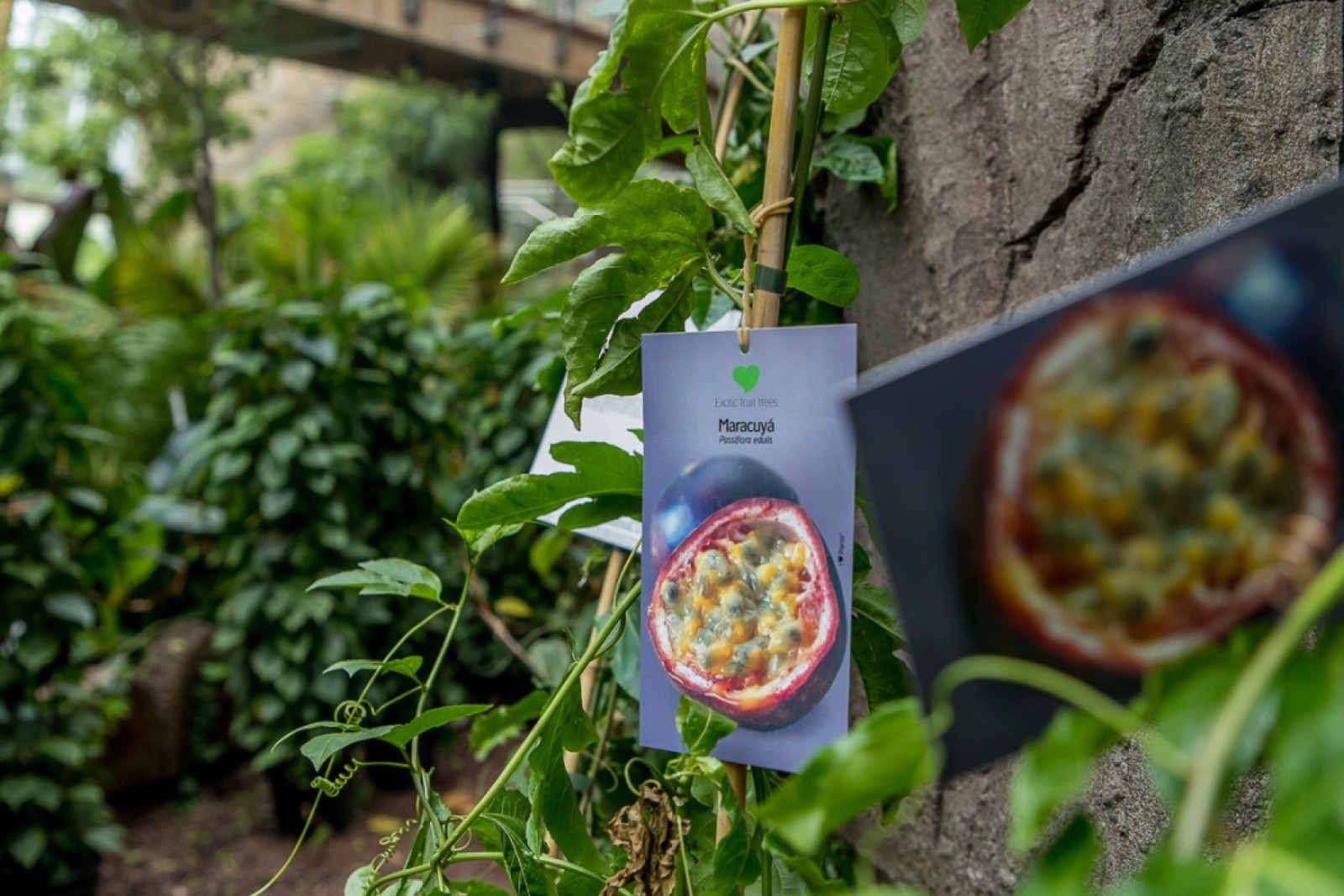 Zdjęcie w galerii na portalu naszwodzislaw.com: Powiew egzotyki w Śląskim Ogrodzie Zoologicznym wiadomości z regionu