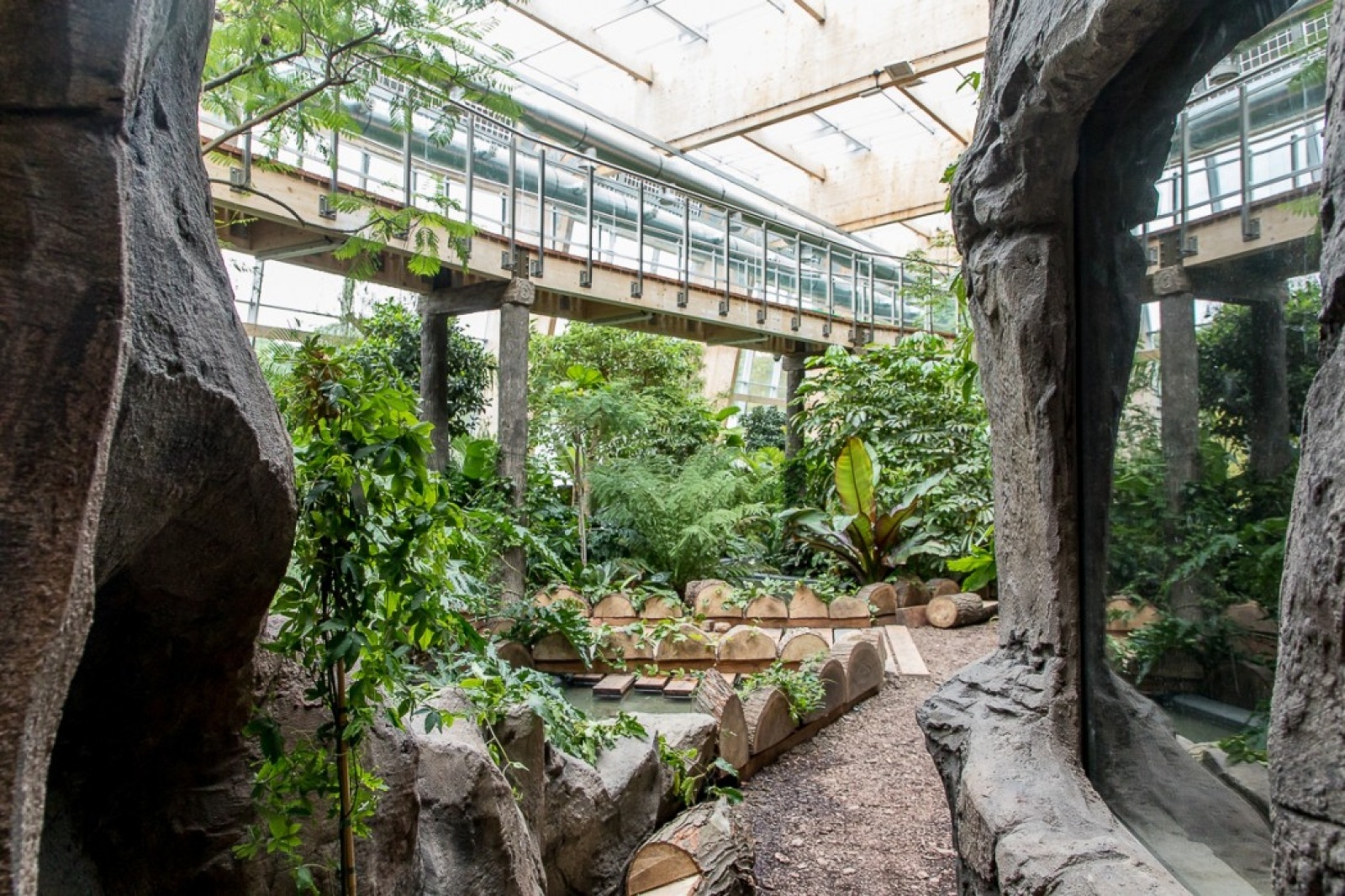 Zdjęcie w galerii na portalu naszwodzislaw.com: Powiew egzotyki w Śląskim Ogrodzie Zoologicznym wiadomości z regionu