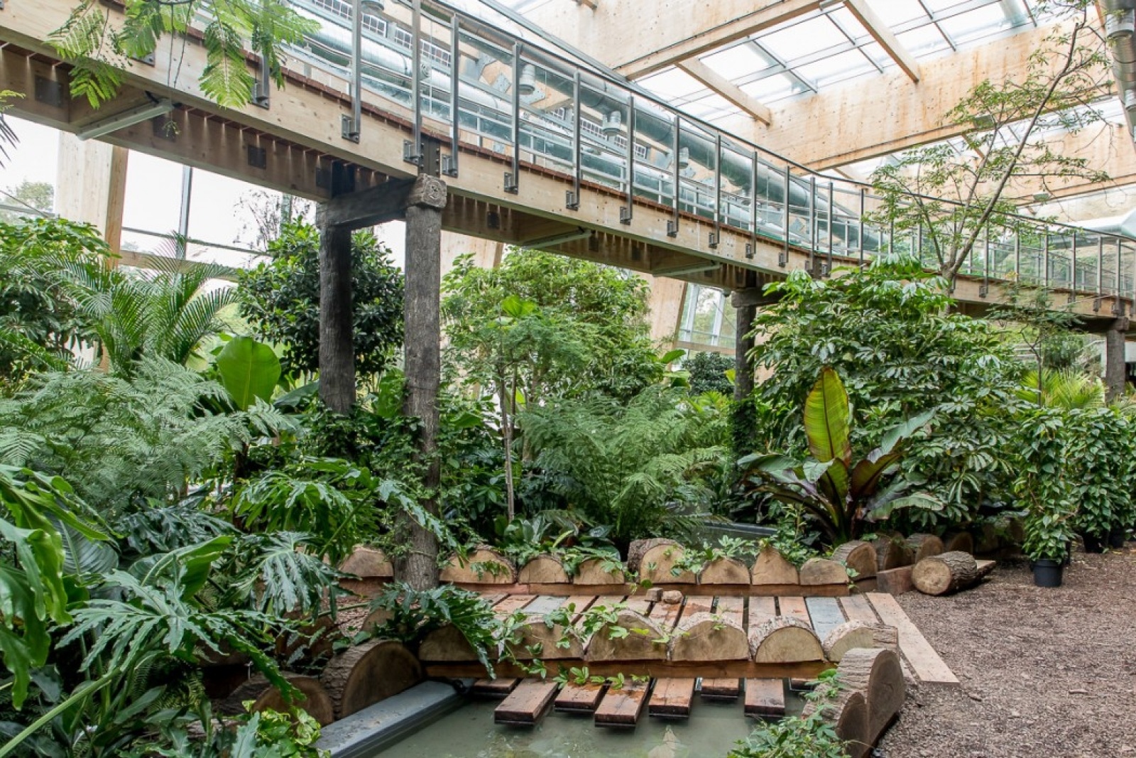 Zdjęcie w galerii na portalu naszwodzislaw.com: Powiew egzotyki w Śląskim Ogrodzie Zoologicznym wiadomości z regionu