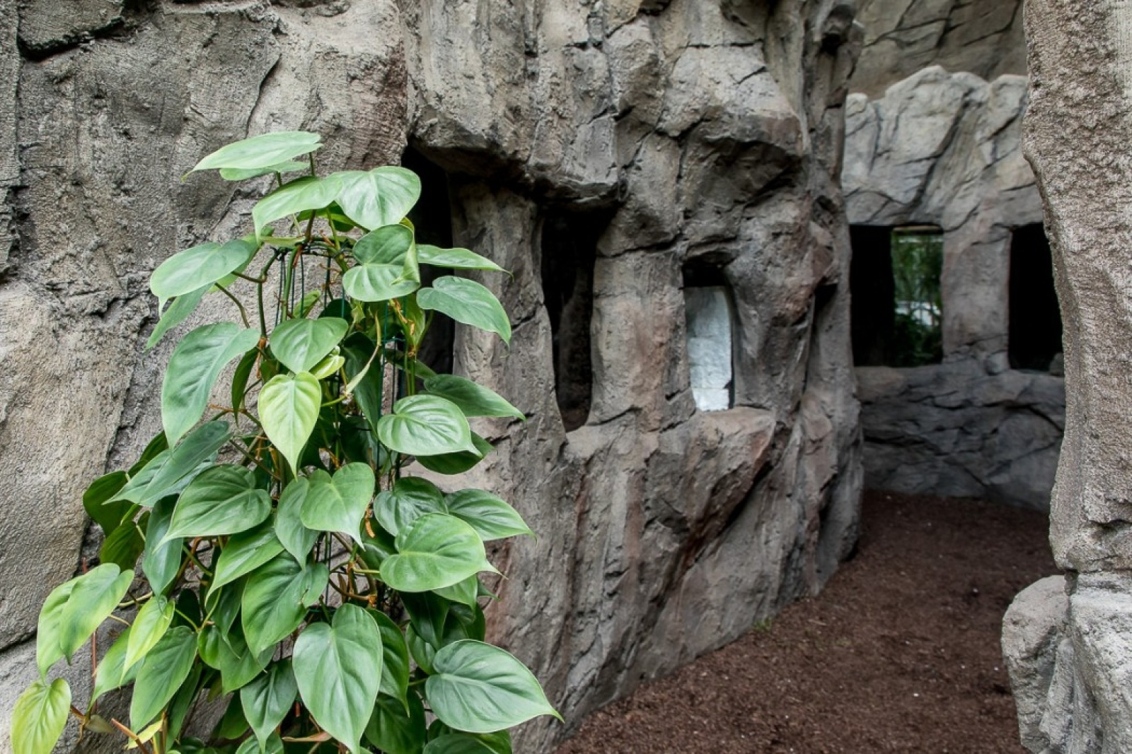 Zdjęcie w galerii na portalu naszwodzislaw.com: Powiew egzotyki w Śląskim Ogrodzie Zoologicznym wiadomości z regionu