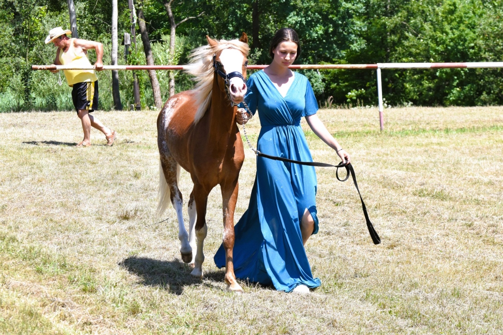 Zdjęcie w galerii na portalu naszwodzislaw.com: Hodowcy zaprezentowali konie w Krostoszowicach [FOTO] wiadomości z regionu