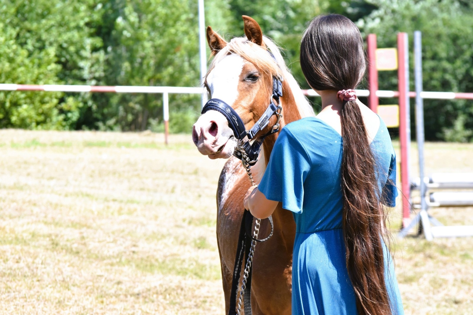 Zdjęcie w galerii na portalu naszwodzislaw.com: Hodowcy zaprezentowali konie w Krostoszowicach [FOTO] wiadomości z regionu