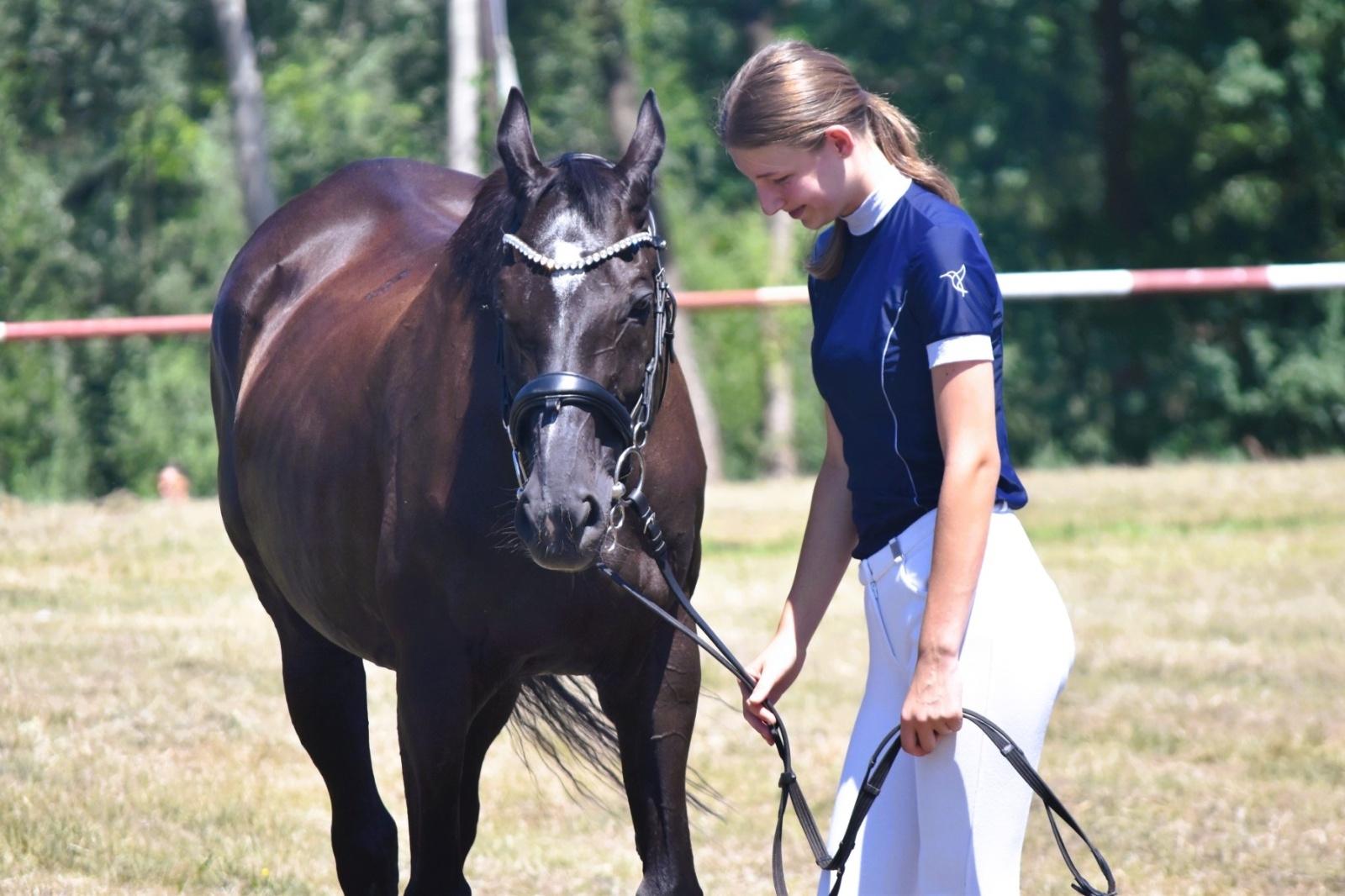 Zdjęcie w galerii na portalu naszwodzislaw.com: Hodowcy zaprezentowali konie w Krostoszowicach [FOTO] wiadomości z regionu