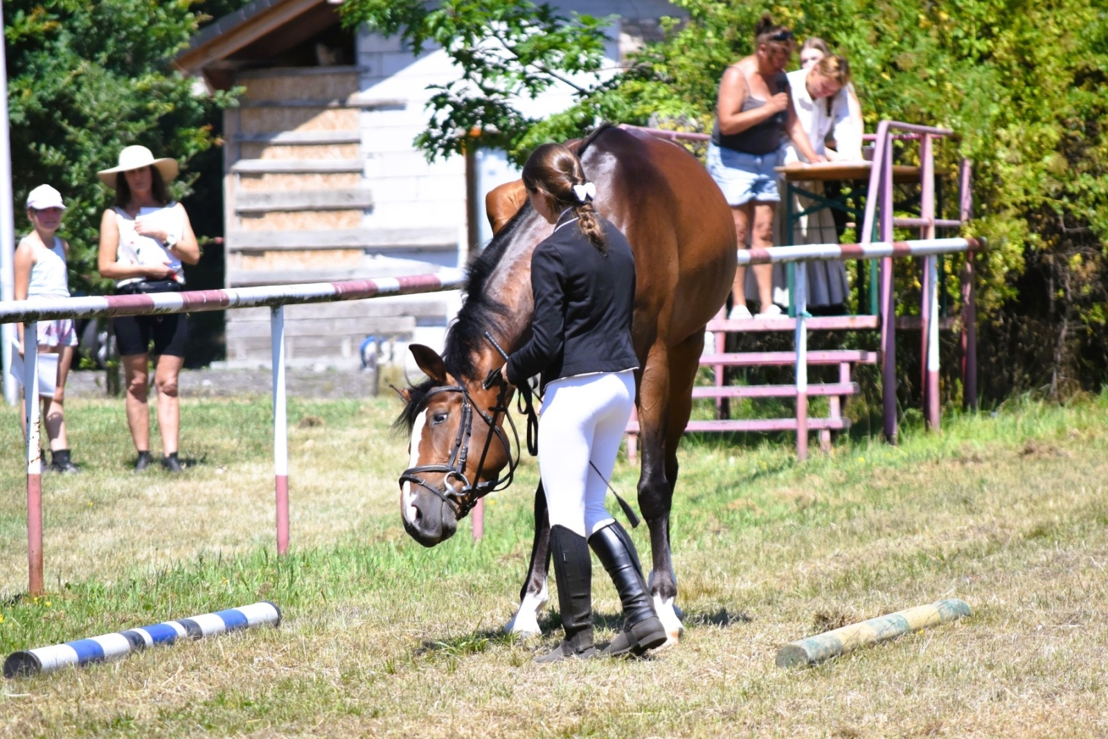 Zdjęcie w galerii na portalu naszwodzislaw.com: Hodowcy zaprezentowali konie w Krostoszowicach [FOTO] wiadomości z regionu