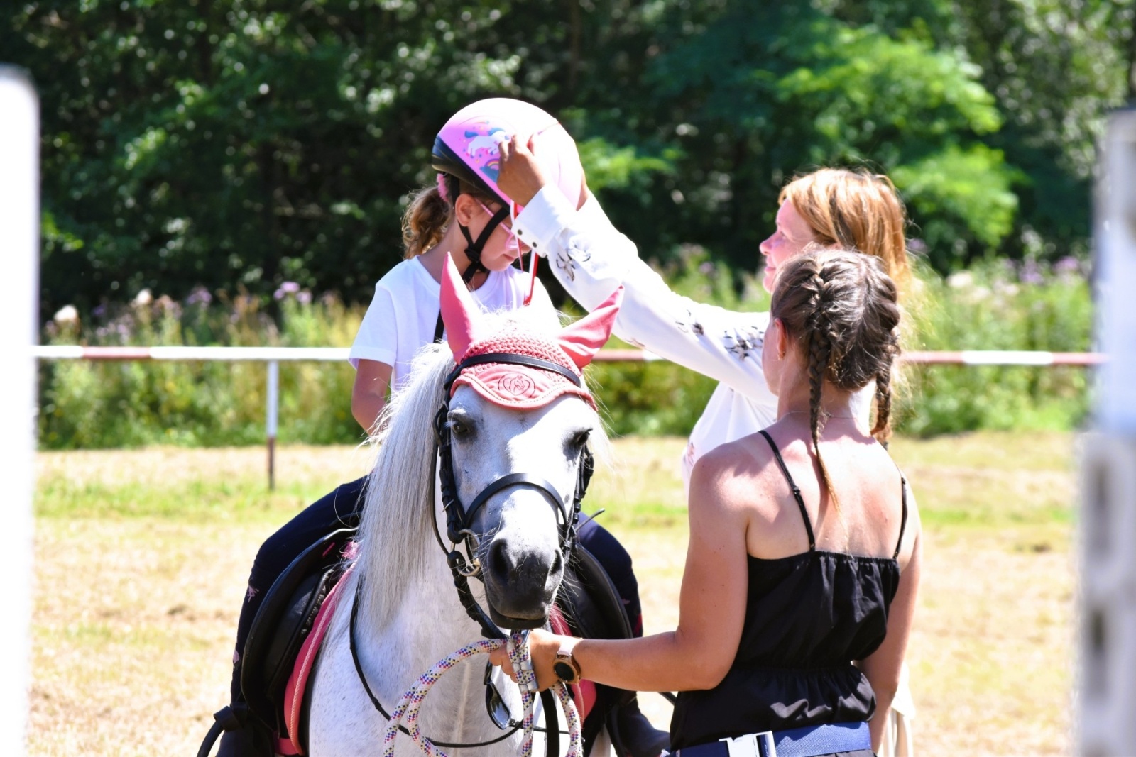 Zdjęcie w galerii na portalu naszwodzislaw.com: Hodowcy zaprezentowali konie w Krostoszowicach [FOTO] wiadomości z regionu