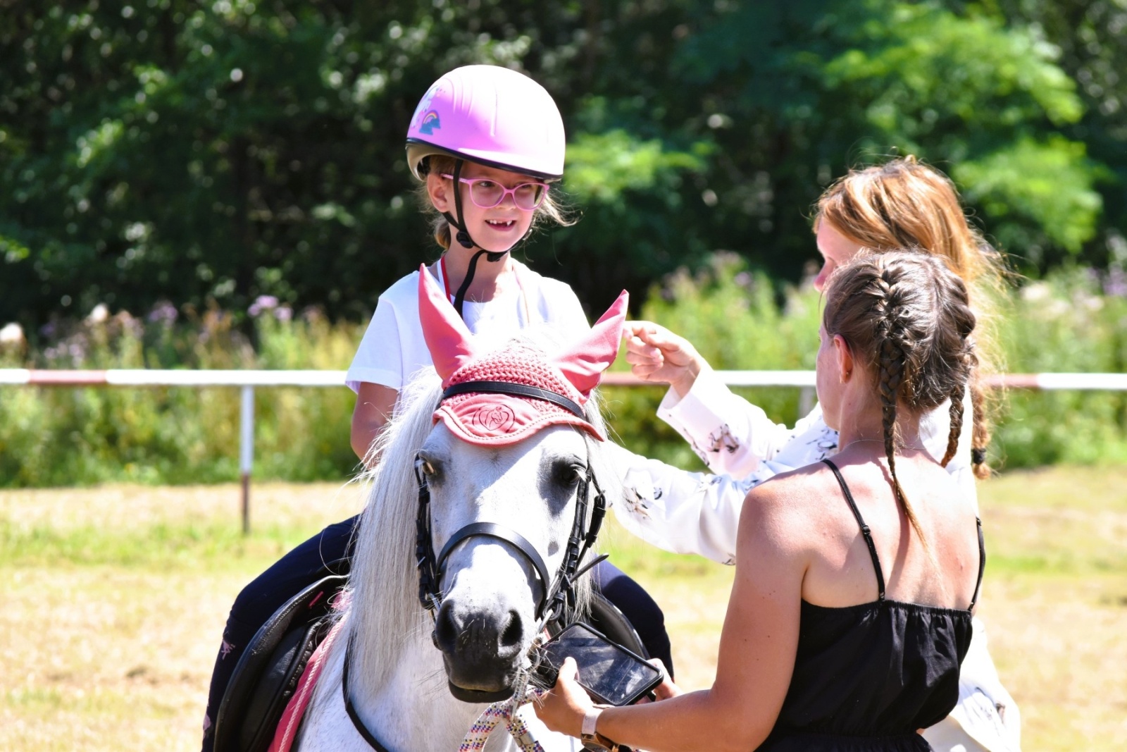 Zdjęcie w galerii na portalu naszwodzislaw.com: Hodowcy zaprezentowali konie w Krostoszowicach [FOTO] wiadomości z regionu