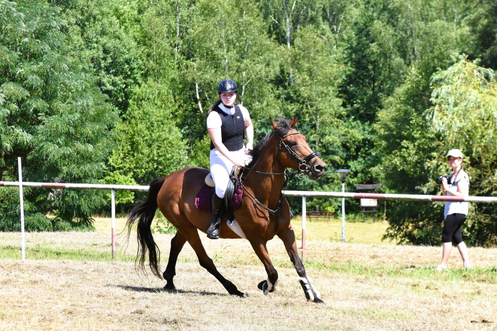 Zdjęcie w galerii na portalu naszwodzislaw.com: Hodowcy zaprezentowali konie w Krostoszowicach [FOTO] wiadomości z regionu