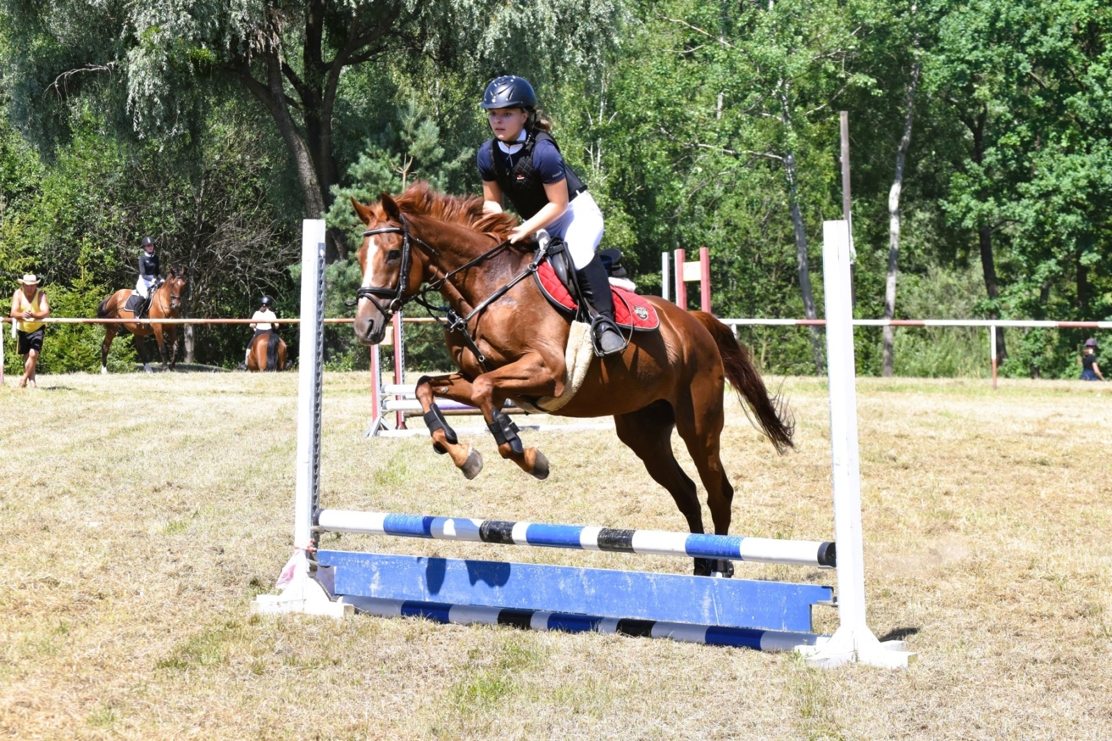 Zdjęcie w galerii na portalu naszwodzislaw.com: Hodowcy zaprezentowali konie w Krostoszowicach [FOTO] wiadomości z regionu