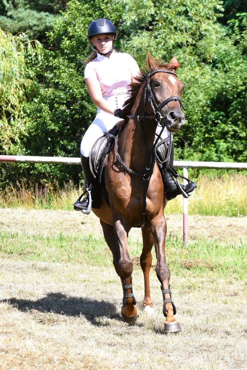Zdjęcie w galerii na portalu naszwodzislaw.com: Hodowcy zaprezentowali konie w Krostoszowicach [FOTO] wiadomości z regionu