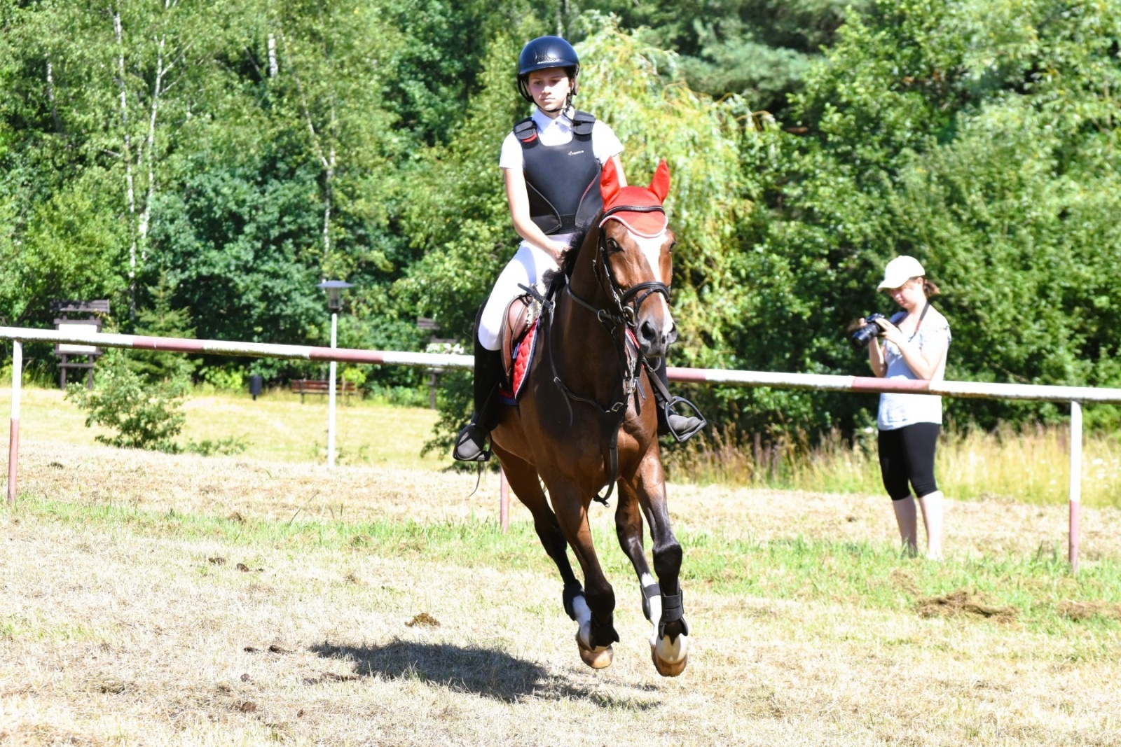 Zdjęcie w galerii na portalu naszwodzislaw.com: Hodowcy zaprezentowali konie w Krostoszowicach [FOTO] wiadomości z regionu