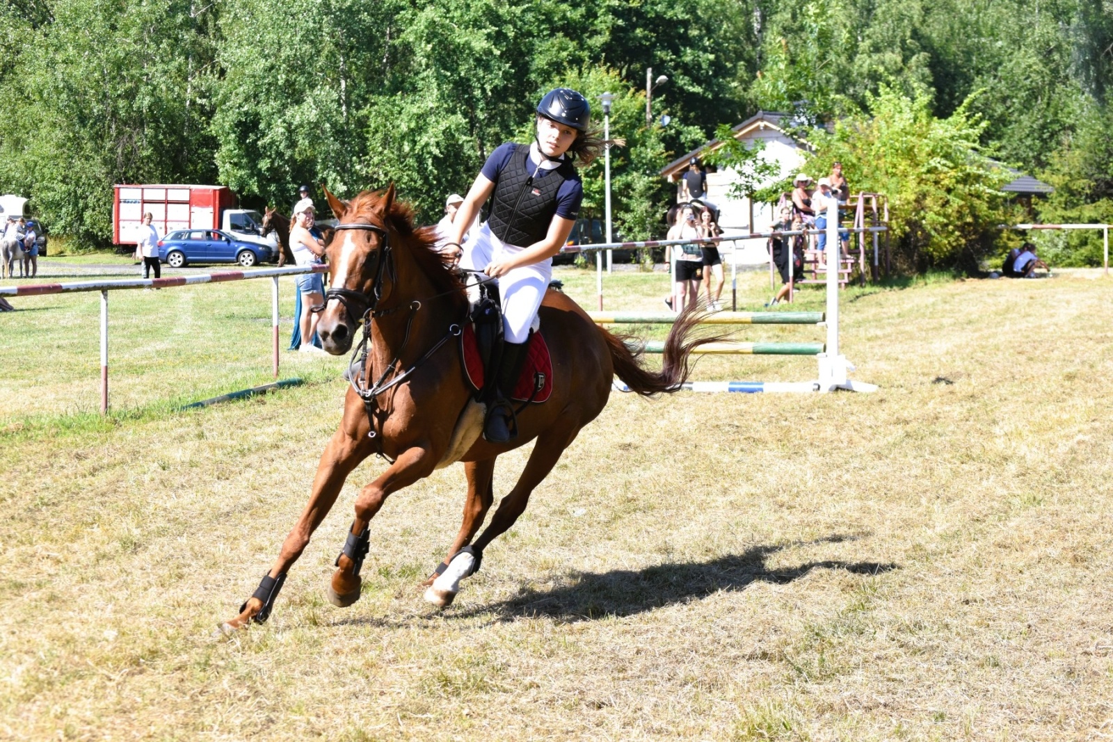 Zdjęcie w galerii na portalu naszwodzislaw.com: Hodowcy zaprezentowali konie w Krostoszowicach [FOTO] wiadomości z regionu