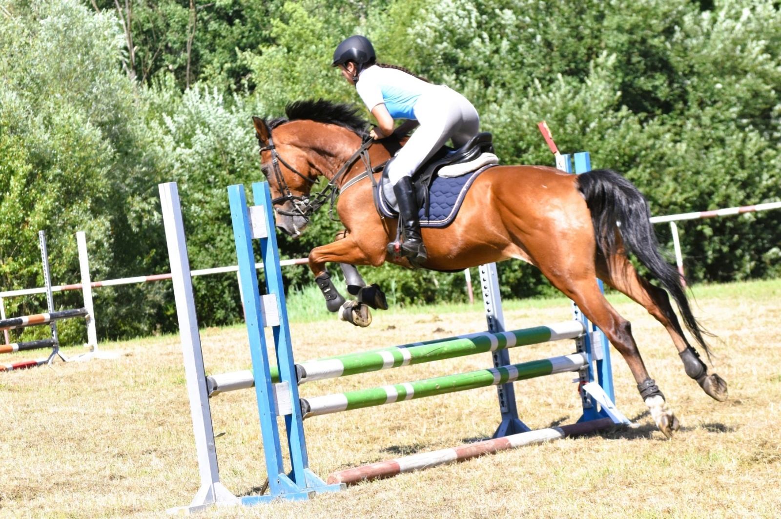 Zdjęcie w galerii na portalu naszwodzislaw.com: Hodowcy zaprezentowali konie w Krostoszowicach [FOTO] wiadomości z regionu
