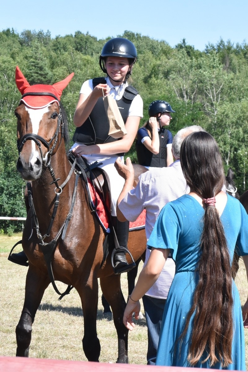Zdjęcie w galerii na portalu naszwodzislaw.com: Hodowcy zaprezentowali konie w Krostoszowicach [FOTO] wiadomości z regionu