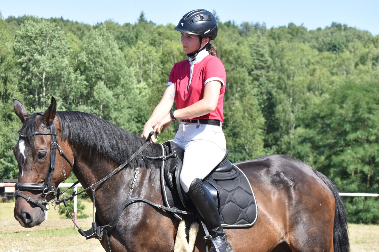 Zdjęcie w galerii na portalu naszwodzislaw.com: Hodowcy zaprezentowali konie w Krostoszowicach [FOTO] wiadomości z regionu