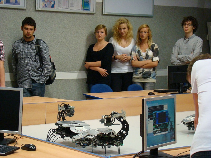 Zdjęcie w galerii na portalu naszwodzislaw.com: Dorośli bawili się nimi jak małe dzieci wiadomości z regionu