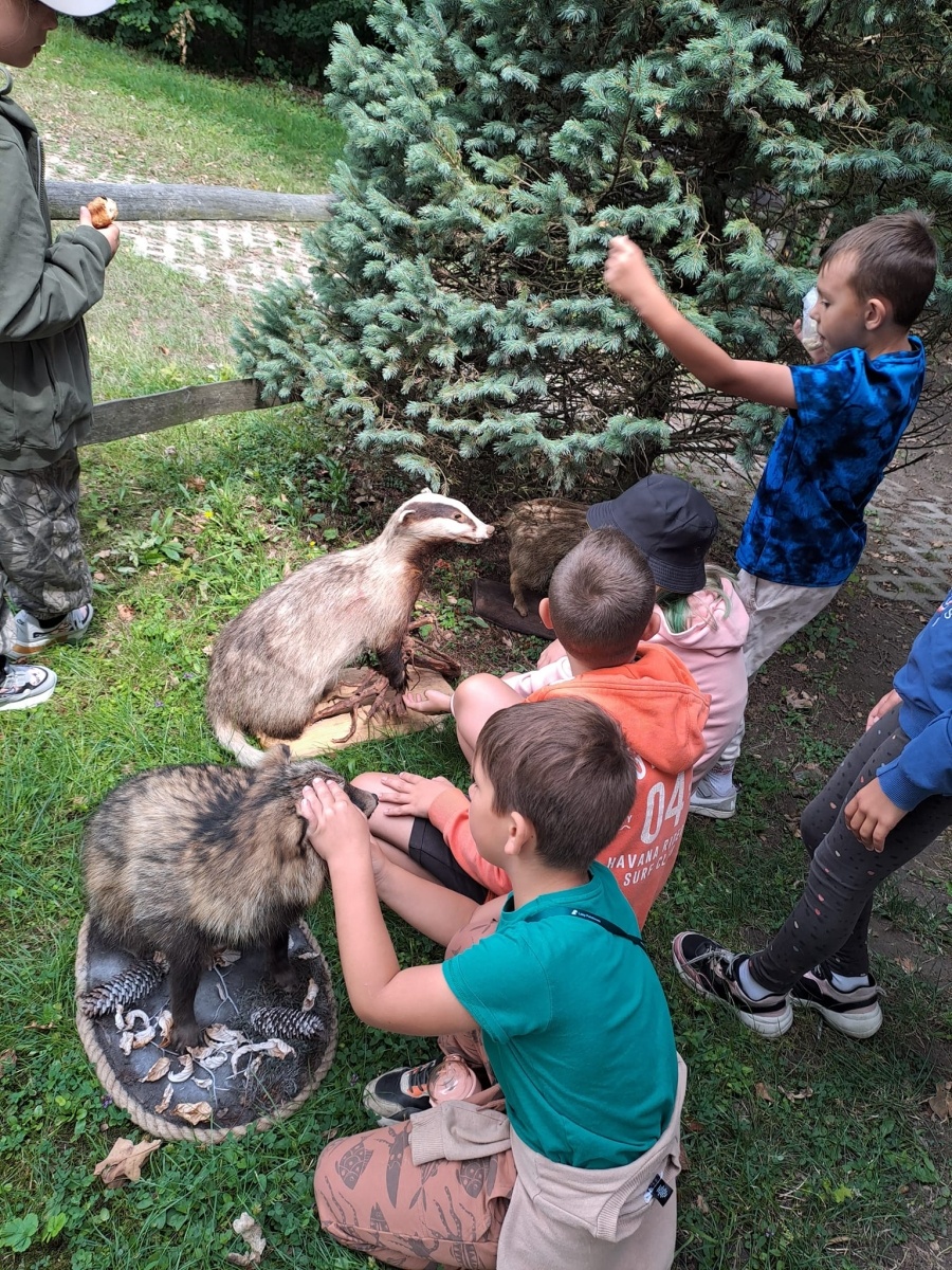 Zdjęcie w galerii na portalu naszwodzislaw.com: Wakacje z GCK w Gorzycach. Zielony tydzień z finiszem w lesie [FOTO i WIDEO] wiadomości z regionu