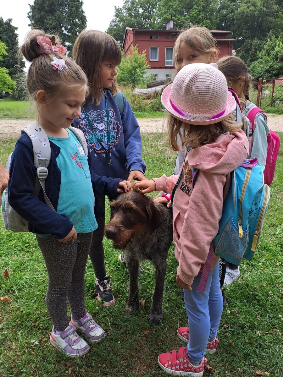 Zdjęcie w galerii na portalu naszwodzislaw.com: Wakacje z GCK w Gorzycach. Zielony tydzień z finiszem w lesie [FOTO i WIDEO] wiadomości z regionu