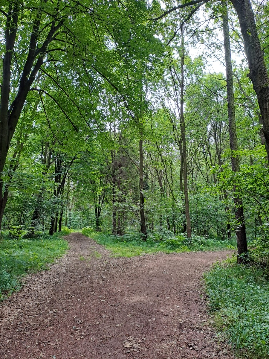 Zdjęcie w galerii na portalu naszwodzislaw.com: Wakacje z GCK w Gorzycach. Zielony tydzień z finiszem w lesie [FOTO i WIDEO] wiadomości z regionu