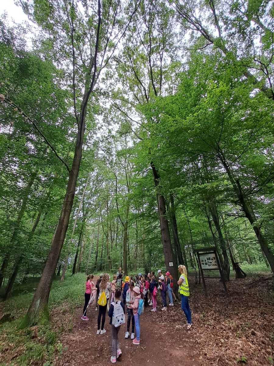 Zdjęcie w galerii na portalu naszwodzislaw.com: Wakacje z GCK w Gorzycach. Zielony tydzień z finiszem w lesie [FOTO i WIDEO] wiadomości z regionu