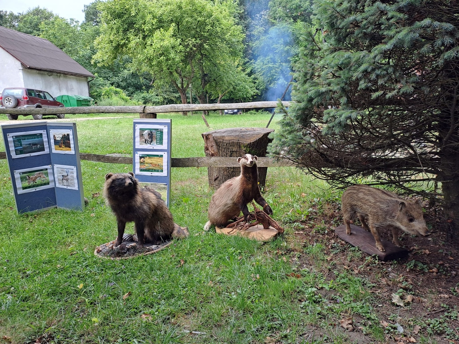 Zdjęcie w galerii na portalu naszwodzislaw.com: Wakacje z GCK w Gorzycach. Zielony tydzień z finiszem w lesie [FOTO i WIDEO] wiadomości z regionu