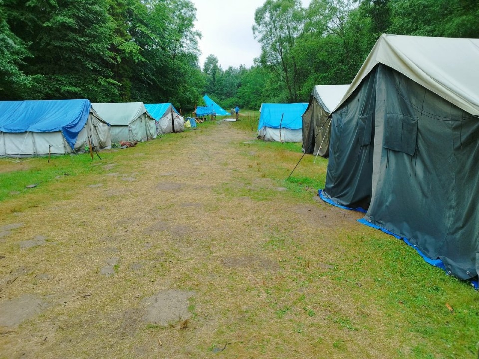 Zdjęcie w galerii na portalu naszwodzislaw.com: Harcerze z Rydułtów na obozie w Jeleśni wiadomości z regionu