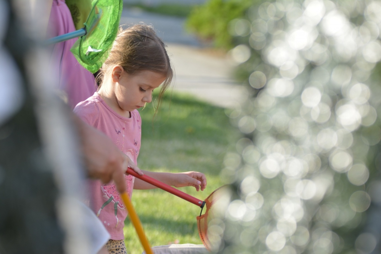 Zdjęcie w galerii na portalu naszwodzislaw.com: ARA!Fest w wodzisławskim parku wiadomości z regionu