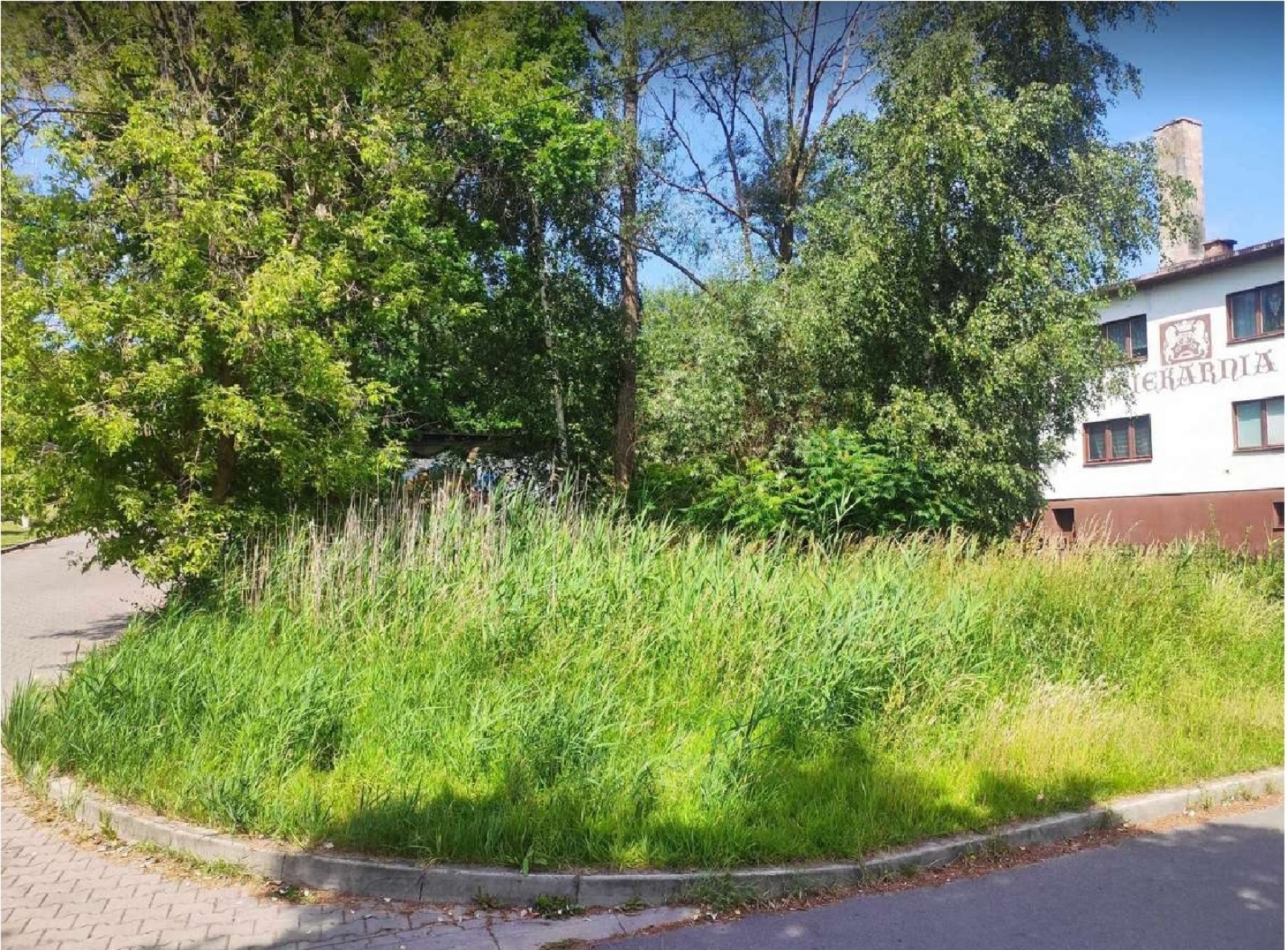 Zdjęcie w galerii na portalu naszwodzislaw.com: Radny Chrząszcz zapytał o zaniedbany teren przy osiedlu Przyjaźni wiadomości z regionu