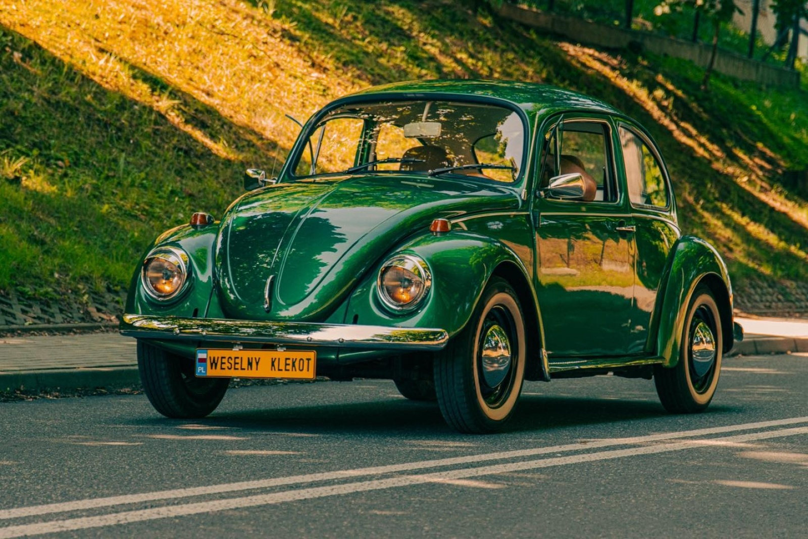 Zdjęcie w galerii na portalu naszwodzislaw.com: Za nami pierwszy zlot zabytkowej motoryzacji [FOTO] wiadomości z regionu