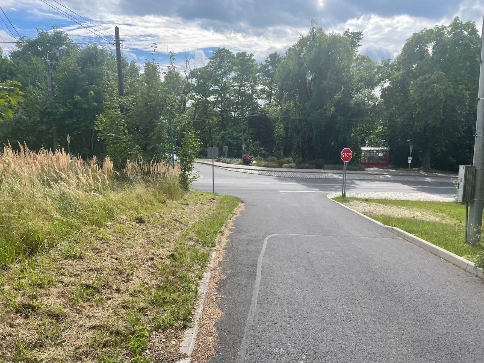 Zdjęcie w galerii na portalu naszwodzislaw.com: Pomiędzy Skrzyszowską a Kopernika powstanie przejście dla pieszych? wiadomości z regionu