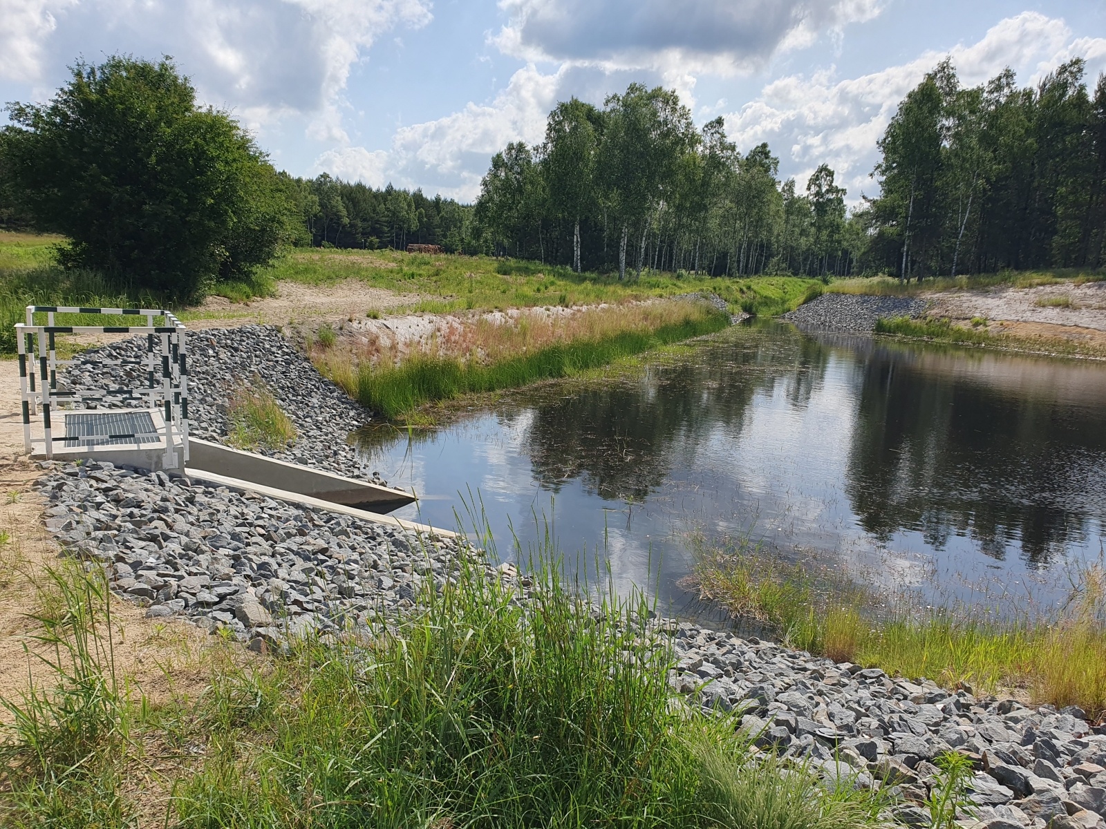 Zdjęcie w galerii na portalu naszwodzislaw.com: Mała retencja w Nadleśnictwie Rudy Raciborskie wiadomości z regionu